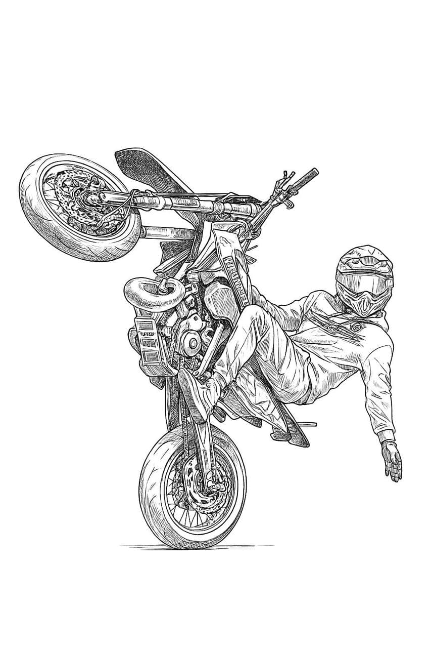 WHEELIE poster artwork