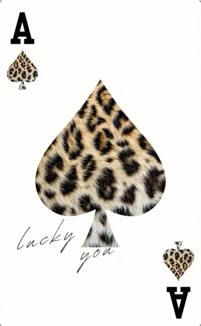 LUCKY YOU poster artwork
